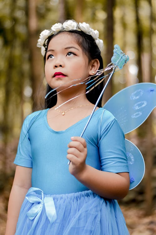 Princess Fairy Dress